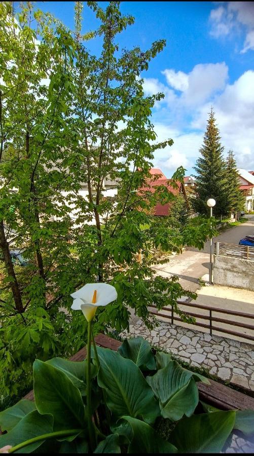 Apartments Sipcic Žabljak Exterior foto
